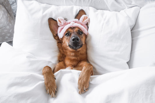 Here’s Why You Need Your Beauty Sleep - Sleepfolio