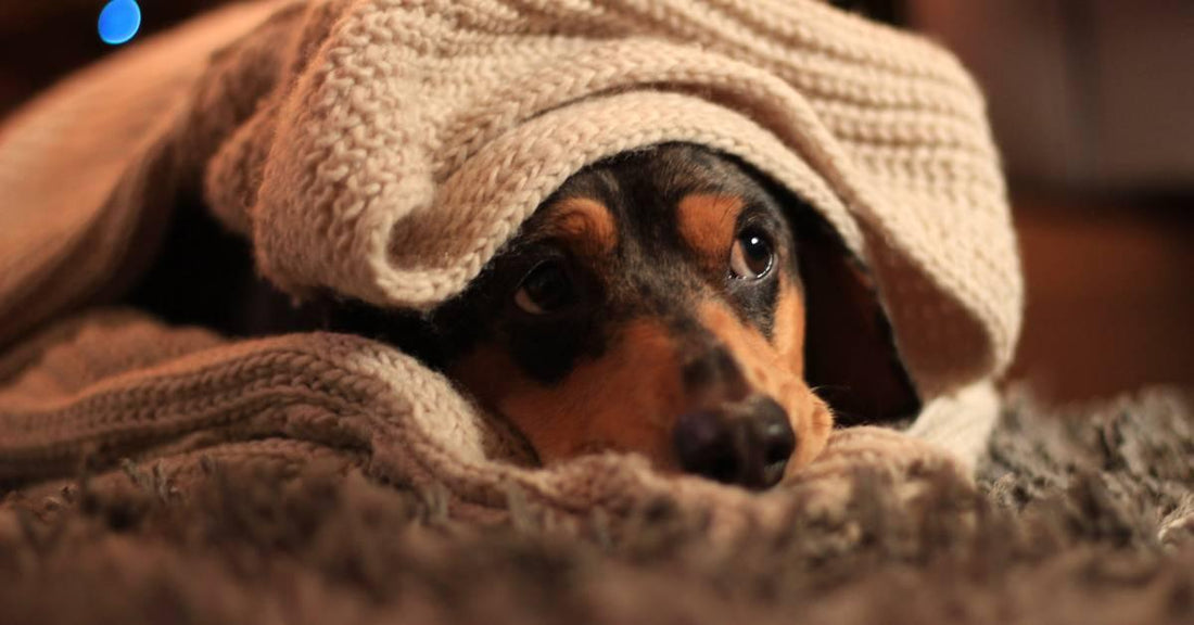 How Can I Make My Bedroom Feel Safe - Sleepfolio